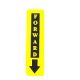 FORWARD DECAL
